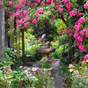 Photo of Favorite garden