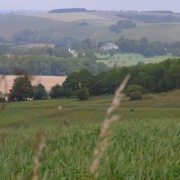 Photo of Cann Common