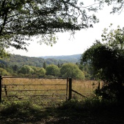 Photo of Maidensgrove