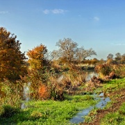 Photo of Stour Valley Autumn