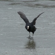 Photo of Rufford Country Park