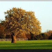 Photo of Delapre Park Golf Club