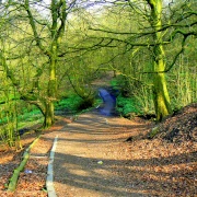 Photo of Daisy Nook Country Park