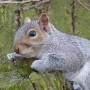 Photo of South Hykeham