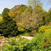 Photo of Bath Botanical Gardens
