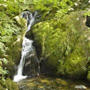 Photo of Stock Ghyll Force