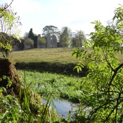 Photo of Hampton Gay