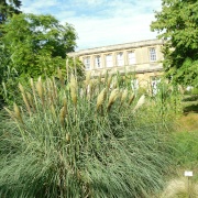 Oxford, the Botanical garden