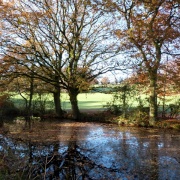 Photo of Sampford Peverell