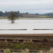 Photo of North Curry