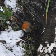 Photo of Daventry Country Park