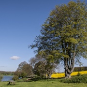 Photo of Sywell Reservoir Country Park