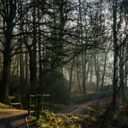 Photo of Swinsty Resr