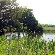 Photo of Doddinghurst