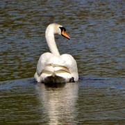 Photo of Lea Marston