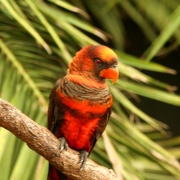 Photo of Woburn Safari Park