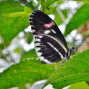 Photo of Skegness Natureland Seal Sanctuary