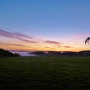 Photo of Bocketts Farm Park