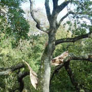 Photo of Langton Matravers