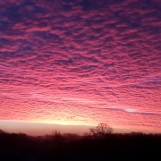 Photo of Waterlooville