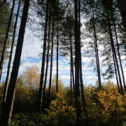 Photo of Clumber Country Park