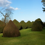 Photo of Burton Agnes