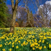 Photos of Springtime in England - PicturesOfEngland.com