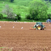 Photo of Lewesdon Hill