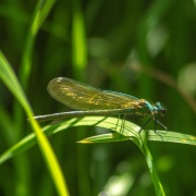 Photo of Burton upon Trent