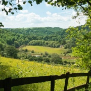 Photo of Framed to perfection