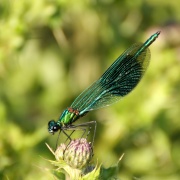 Photo of Deeping St James