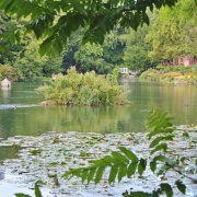 Photo of Harrietsham