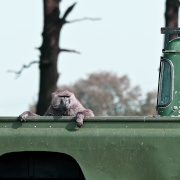 Photo of Knowsley Hall & Safari Park