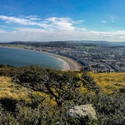 Photo of Great Orme Country Park