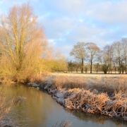 Photo of Winter along the river bank