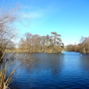 Photo of Nidd