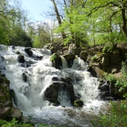 Photo of Virginia Water