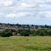 Photo of Crewkerne