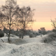 Photo of Barnack Hills & Holes NNR