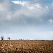 Photo of Thorpe Salvin