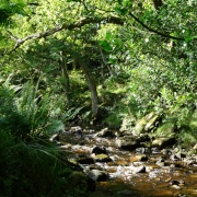 Photo of Falling Foss Waterfall