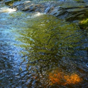 Photo of Wildboarclough