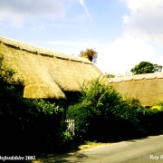 Photo of Kingston Lisle