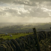 Photo of The Roaches