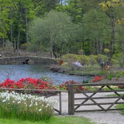Photo of Himalayan Garden & Sculpture Park