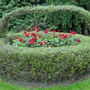 Photo of Nymans Garden