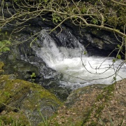 Photo of Lydford Gorge