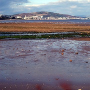 Photo of Swansea