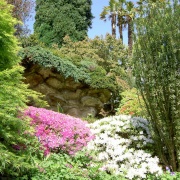 Photo of Leonardslee Gardens