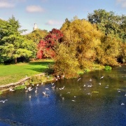 Photo of Blandford Forum